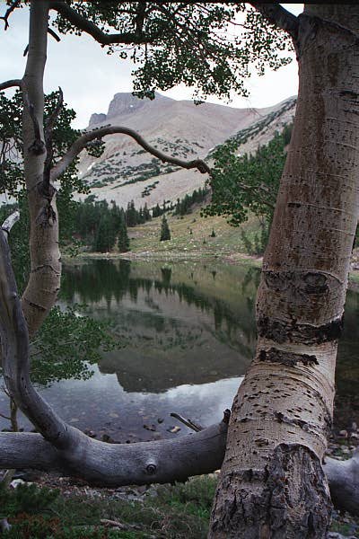 The trail to Stella and Teresa Lake is
one of Americas most beautiful trails .